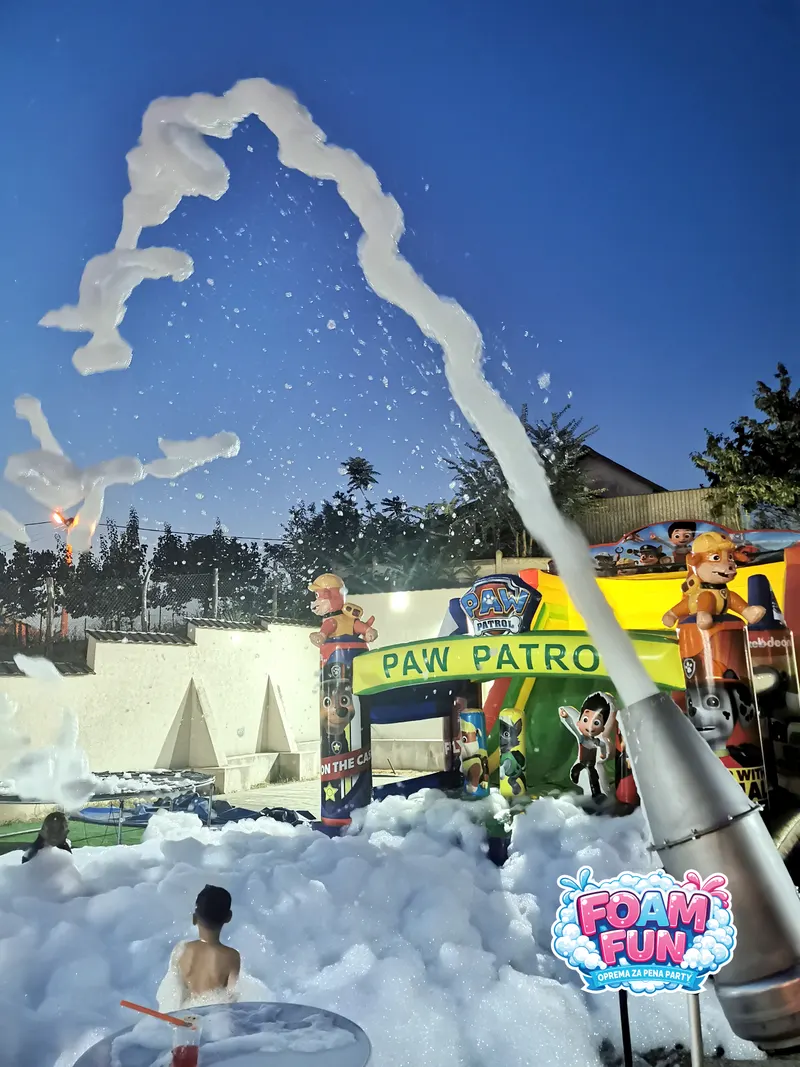Dečji rođendan sa Paw Patrol temom
